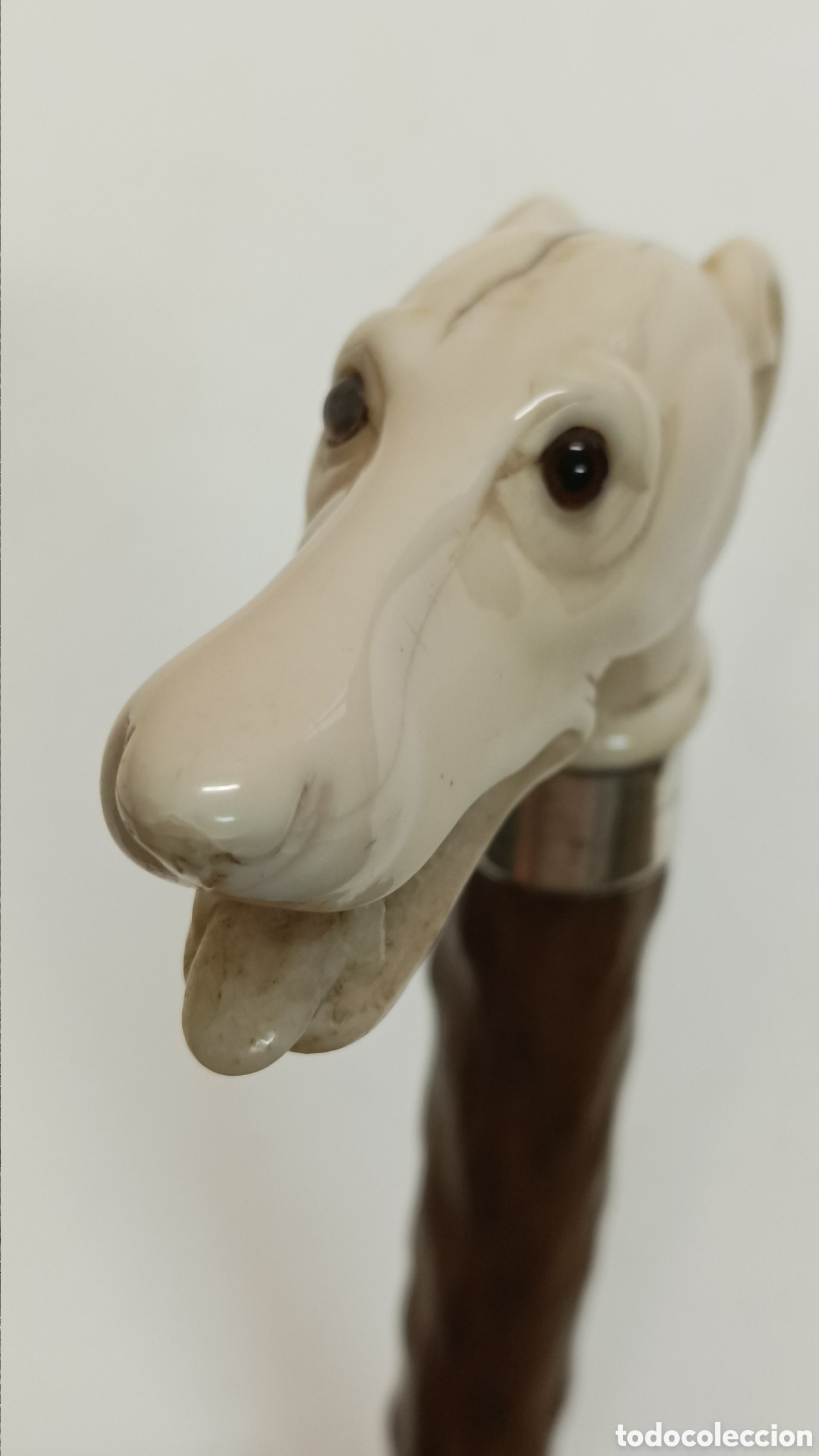 Antig&uuml;edades: Bast&oacute;n perro galgo Marf.? - Foto 10