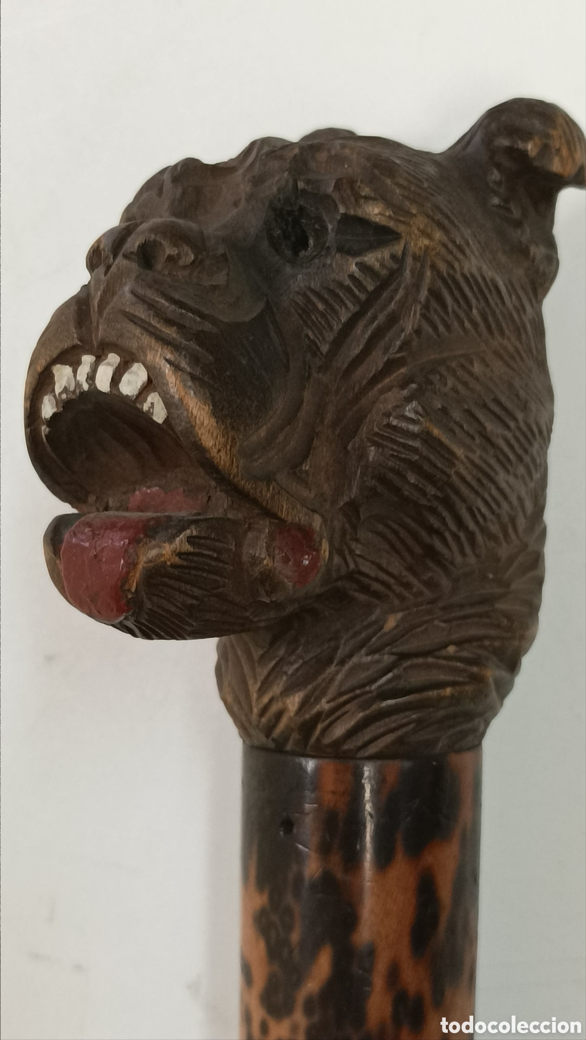Antig&uuml;edades: Bast&oacute;n cabeza de perro - Foto 5