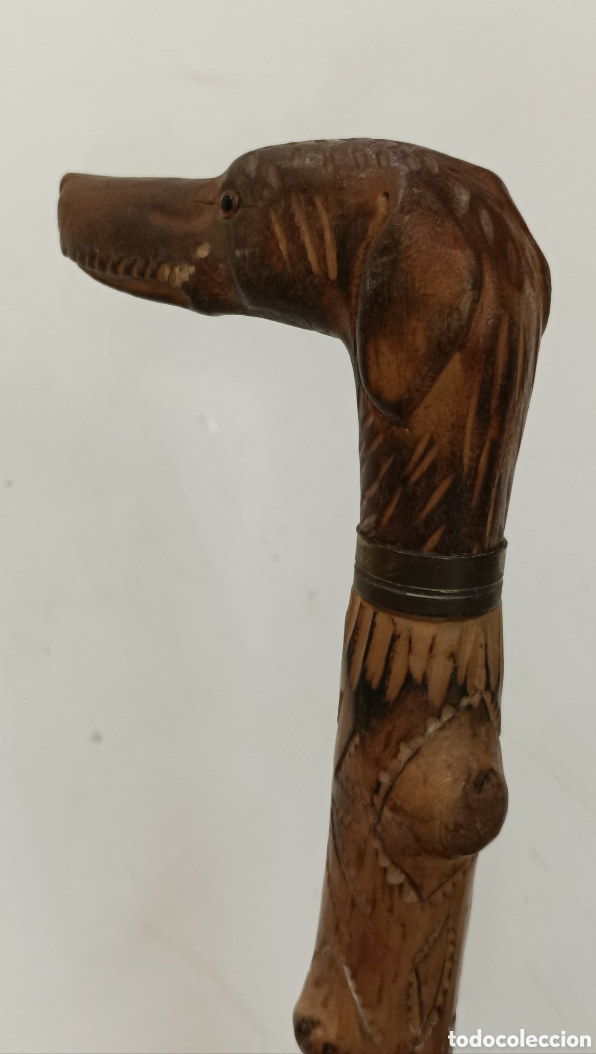 Antig&uuml;edades: Bast&oacute;n cabeza perro galgo - Foto 10