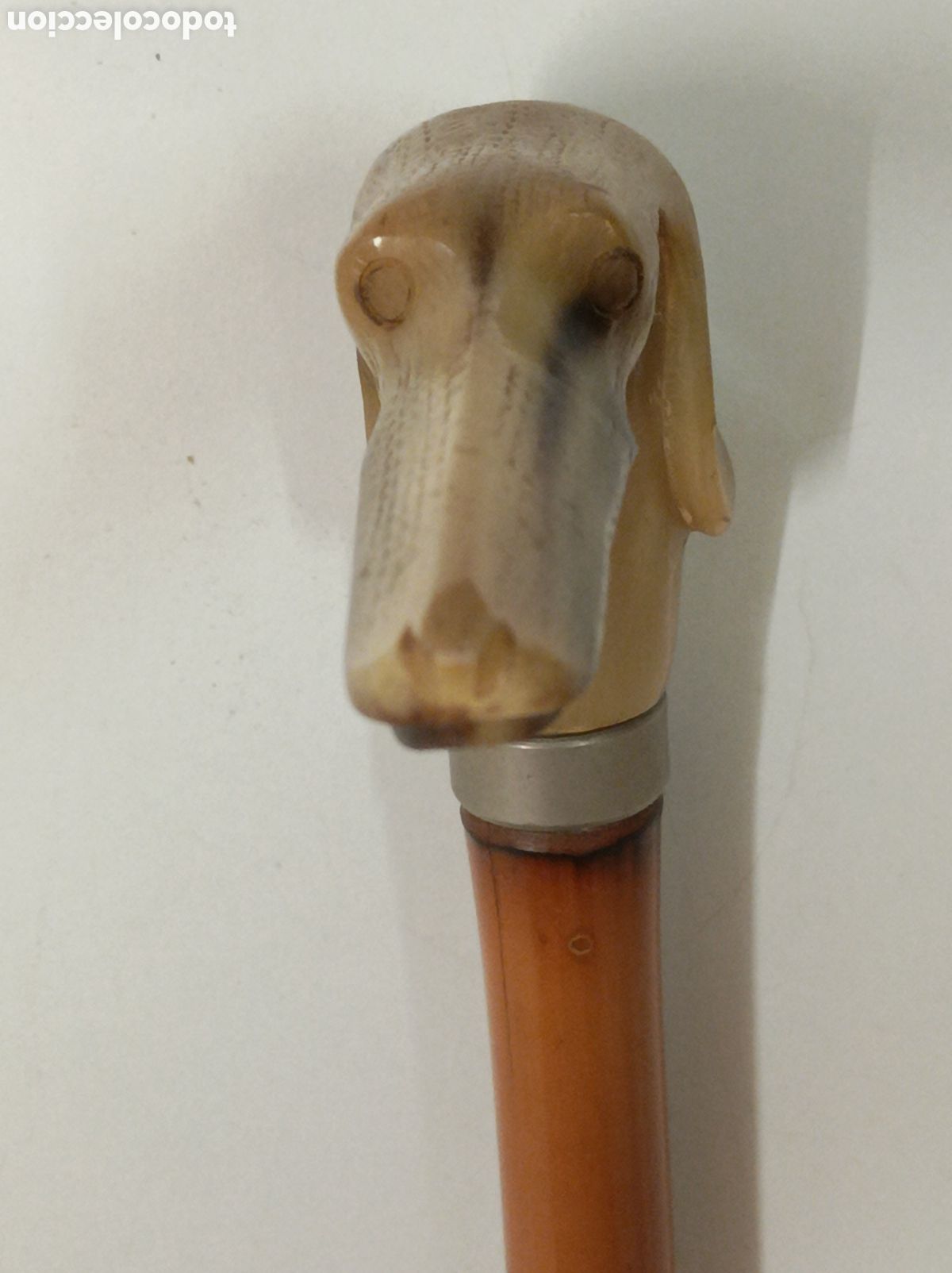 Antig&uuml;edades: Bast&oacute;n cuerno cabeza galgo - Foto 7