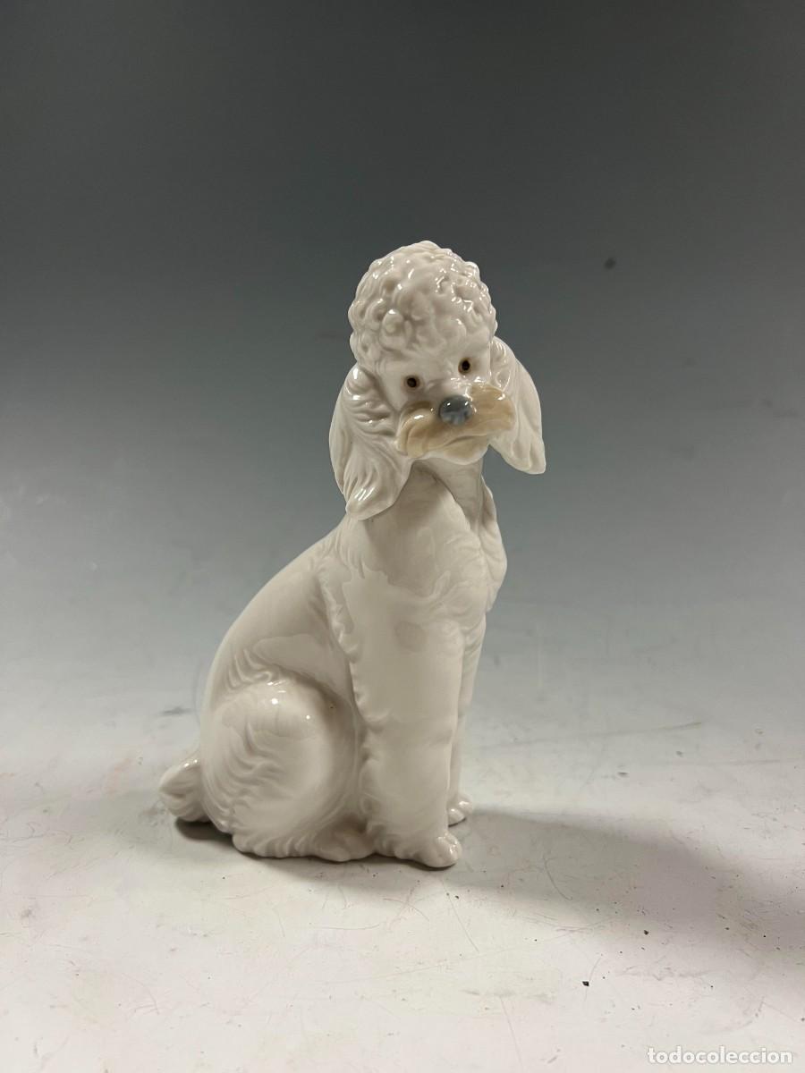 Antig&uuml;edades: CANICHE DE PORCELANA LLADR&Oacute; - Foto 1