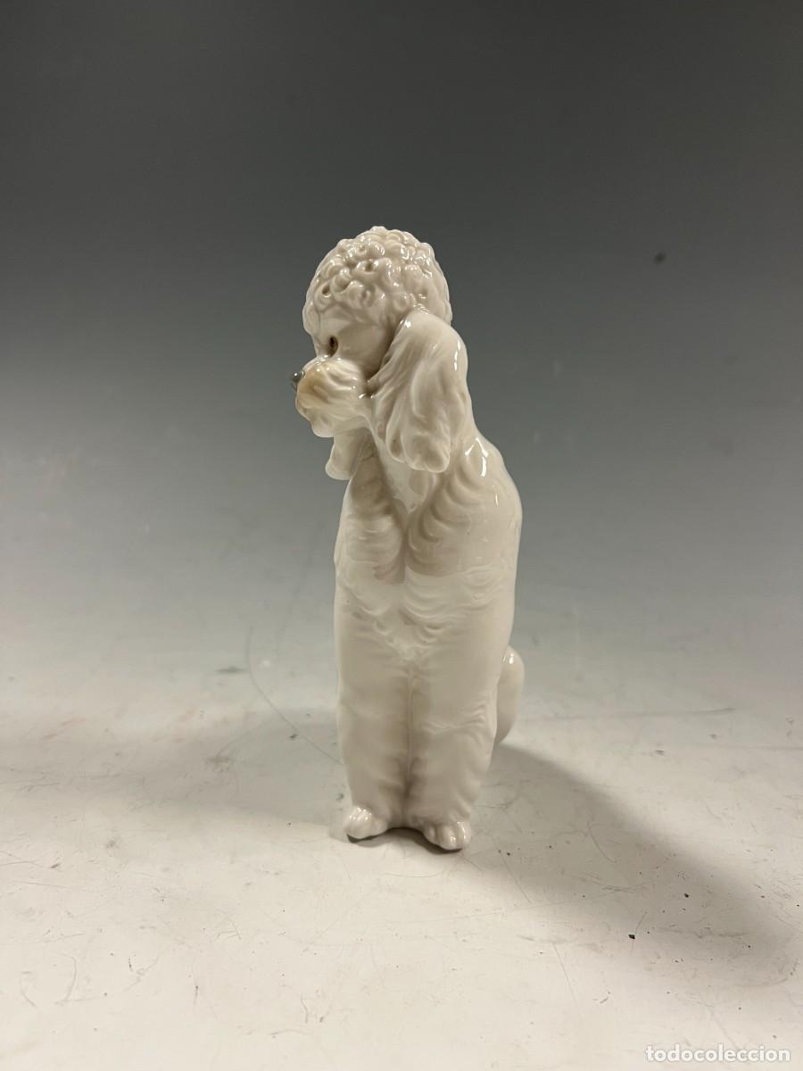 Antig&uuml;edades: CANICHE DE PORCELANA LLADR&Oacute; - Foto 2