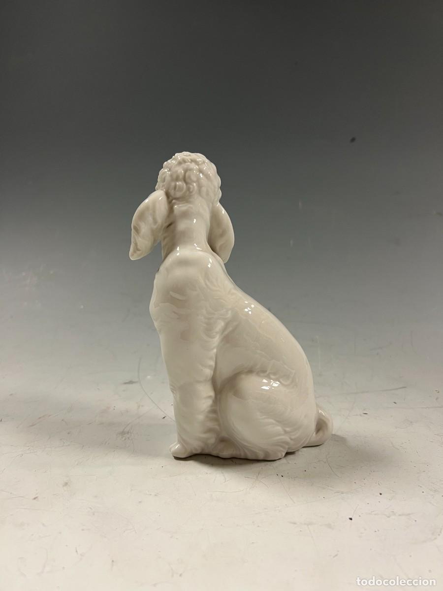 Antig&uuml;edades: CANICHE DE PORCELANA LLADR&Oacute; - Foto 3