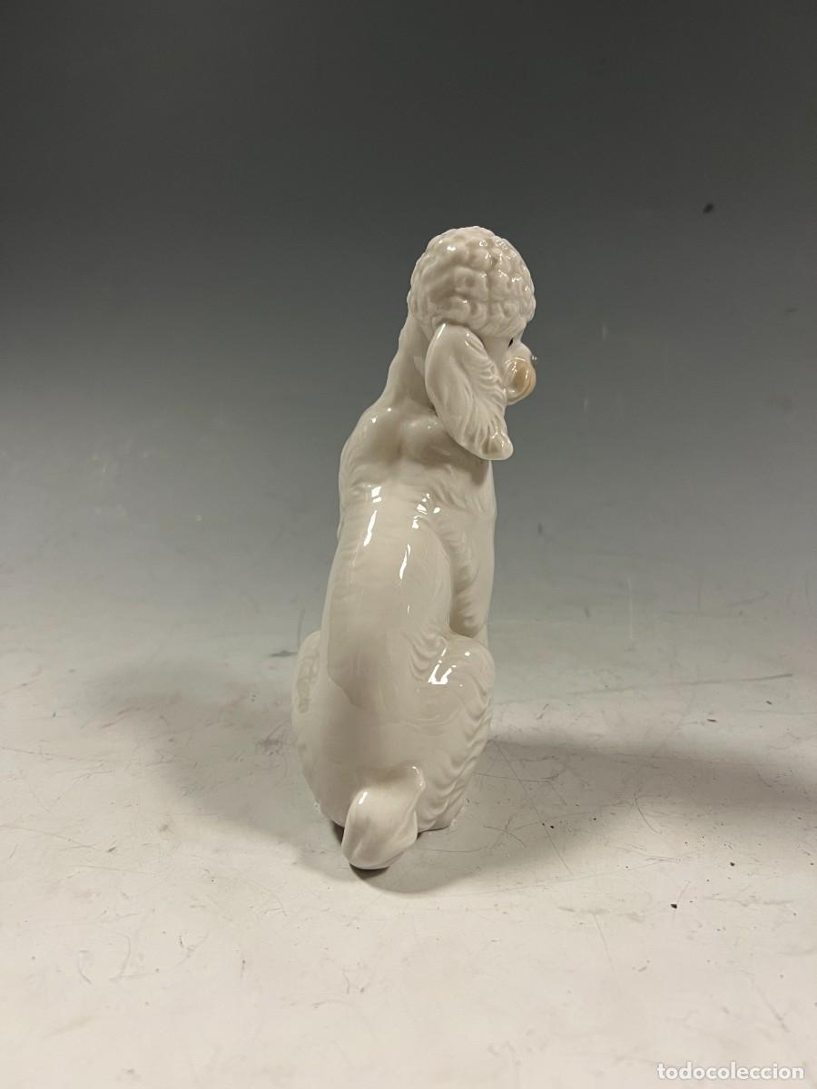 Antig&uuml;edades: CANICHE DE PORCELANA LLADR&Oacute; - Foto 4