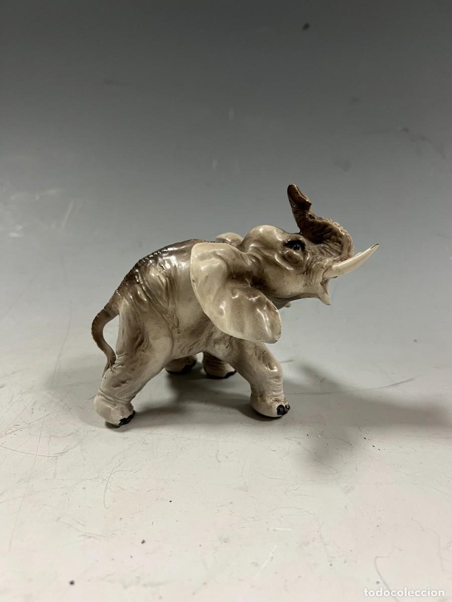 Antig&uuml;edades: ELEFANTE DE PORCELANA - Foto 1