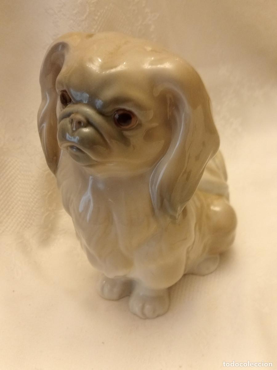 Antig&uuml;edades: FIGURA DE PERRO DE LLADR&Oacute; - Foto 1