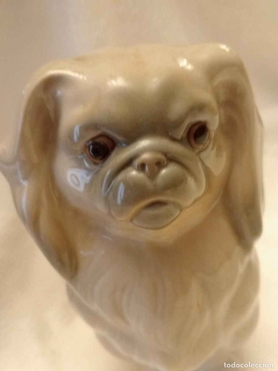 Antig&uuml;edades: FIGURA DE PERRO DE LLADR&Oacute; - Foto 3