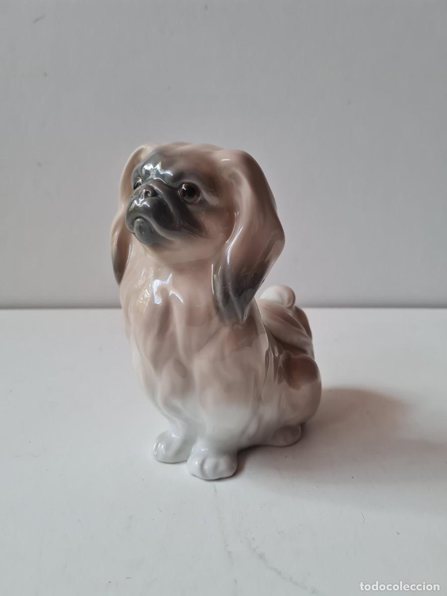 Antig&uuml;edades: LLADRO Perro pekines (16 x 11 cms) - Foto 1