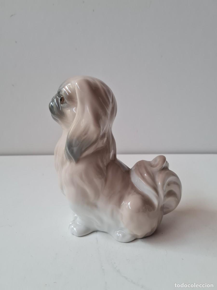 Antig&uuml;edades: LLADRO Perro pekines (16 x 11 cms) - Foto 2