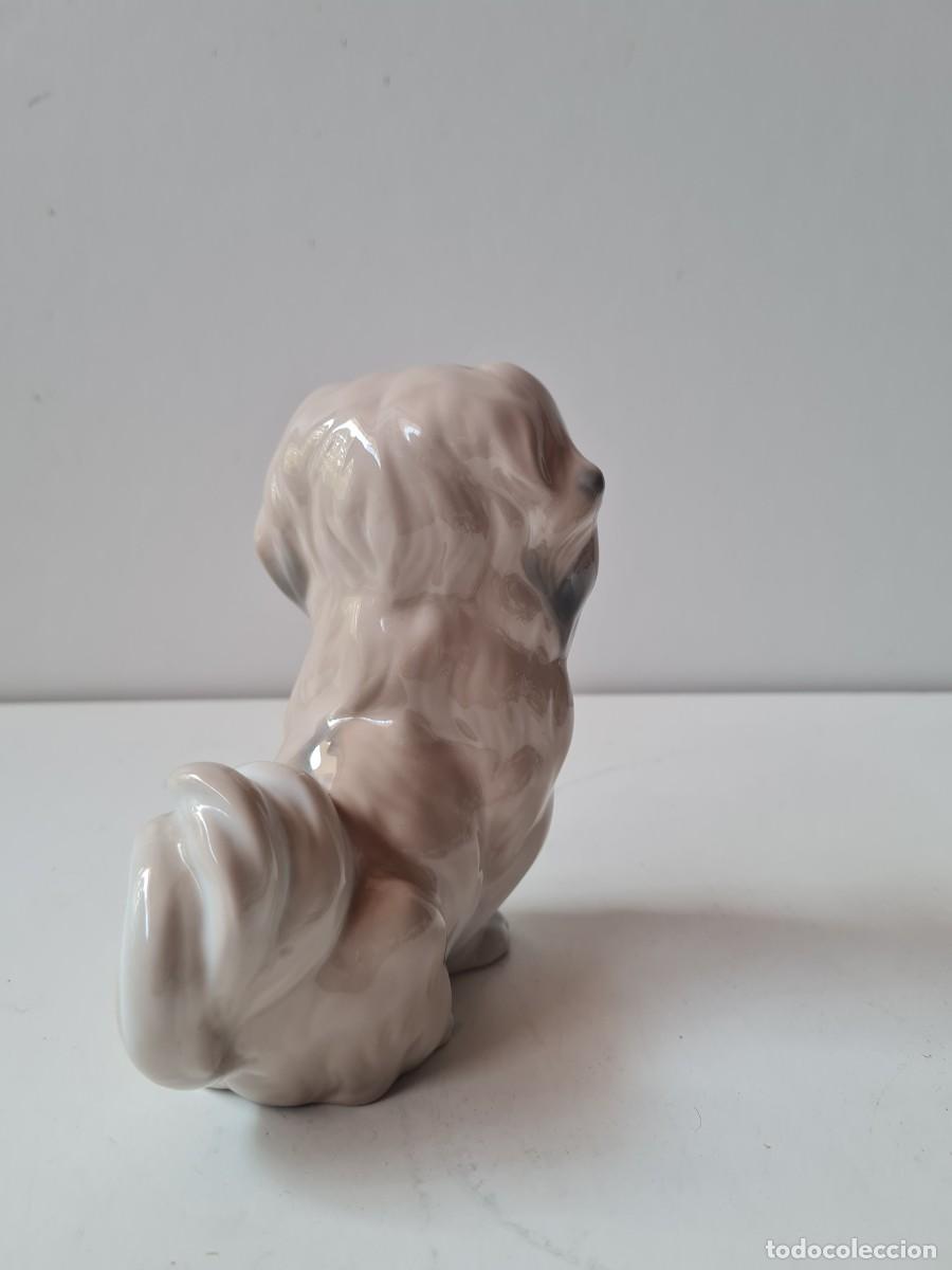 Antig&uuml;edades: LLADRO Perro pekines (16 x 11 cms) - Foto 4