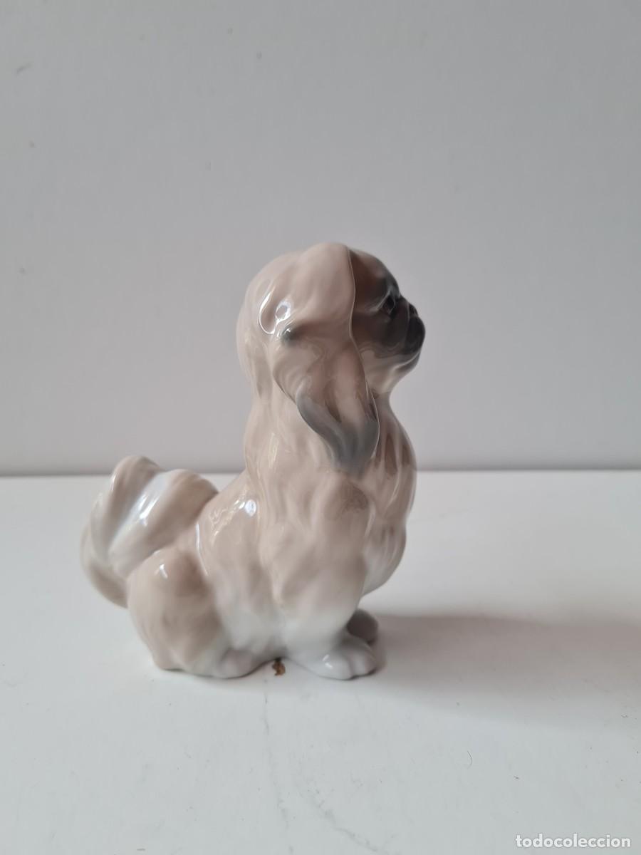 Antig&uuml;edades: LLADRO Perro pekines (16 x 11 cms) - Foto 5