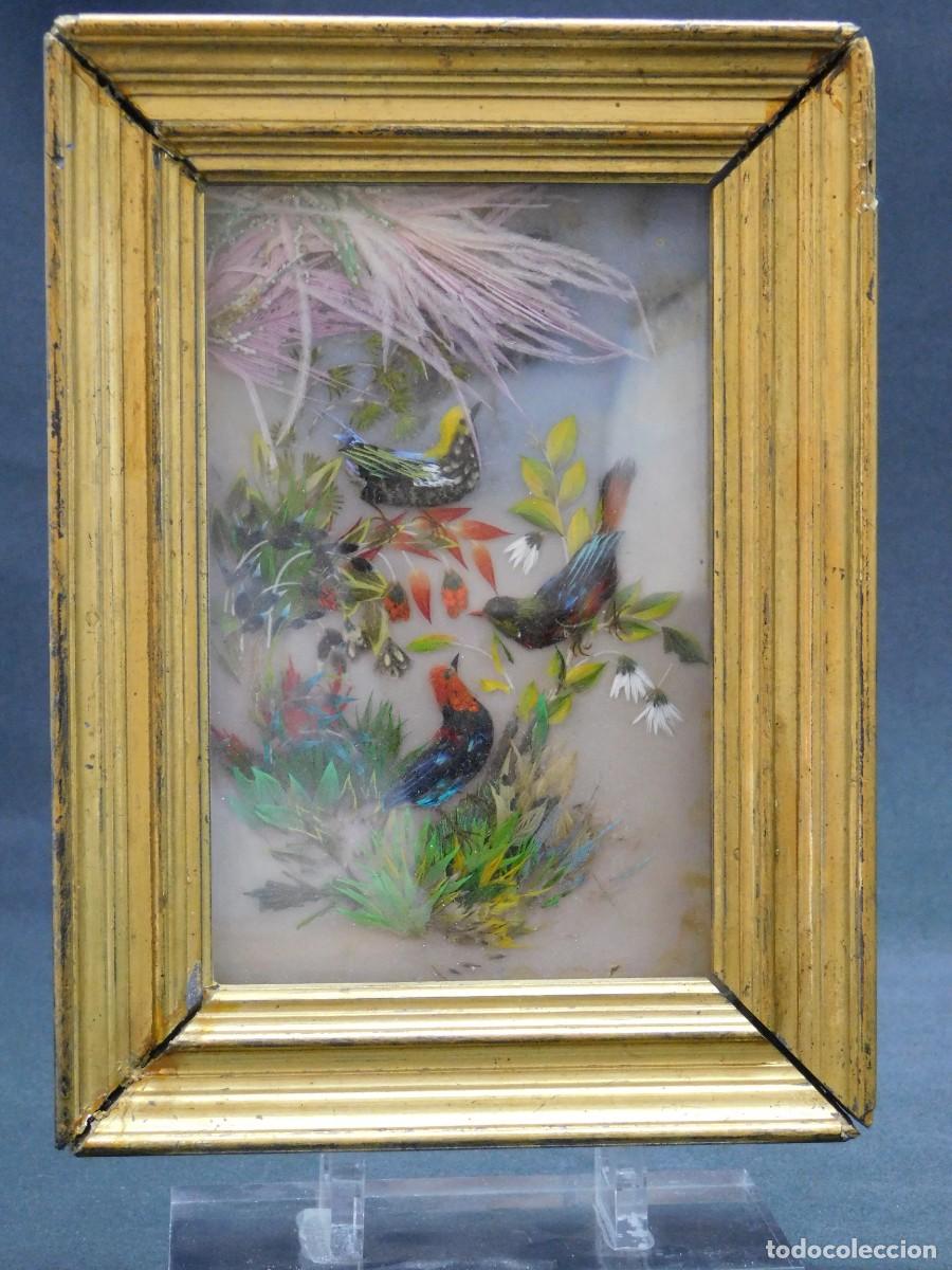 Antig&uuml;edades: CUADRO AVES - PLUMAS NATURALES - Foto 1