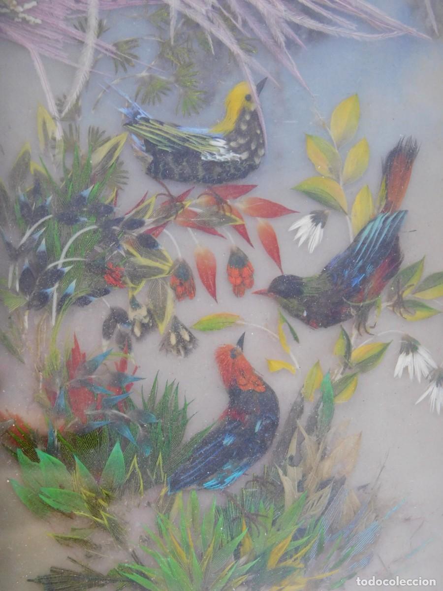 Antig&uuml;edades: CUADRO AVES - PLUMAS NATURALES - Foto 2