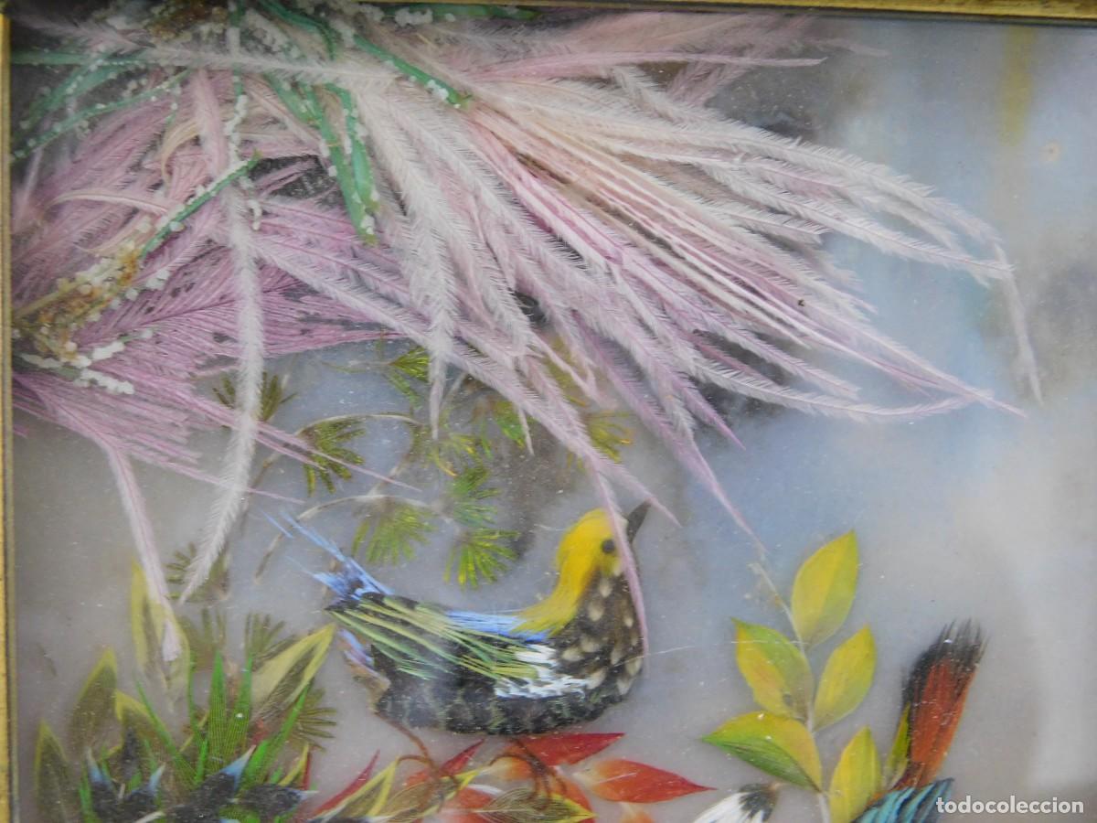 Antig&uuml;edades: CUADRO AVES - PLUMAS NATURALES - Foto 3