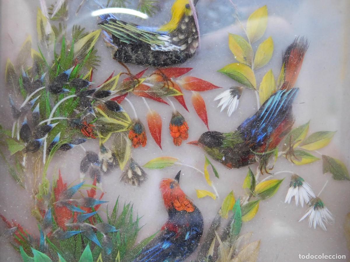 Antig&uuml;edades: CUADRO AVES - PLUMAS NATURALES - Foto 4