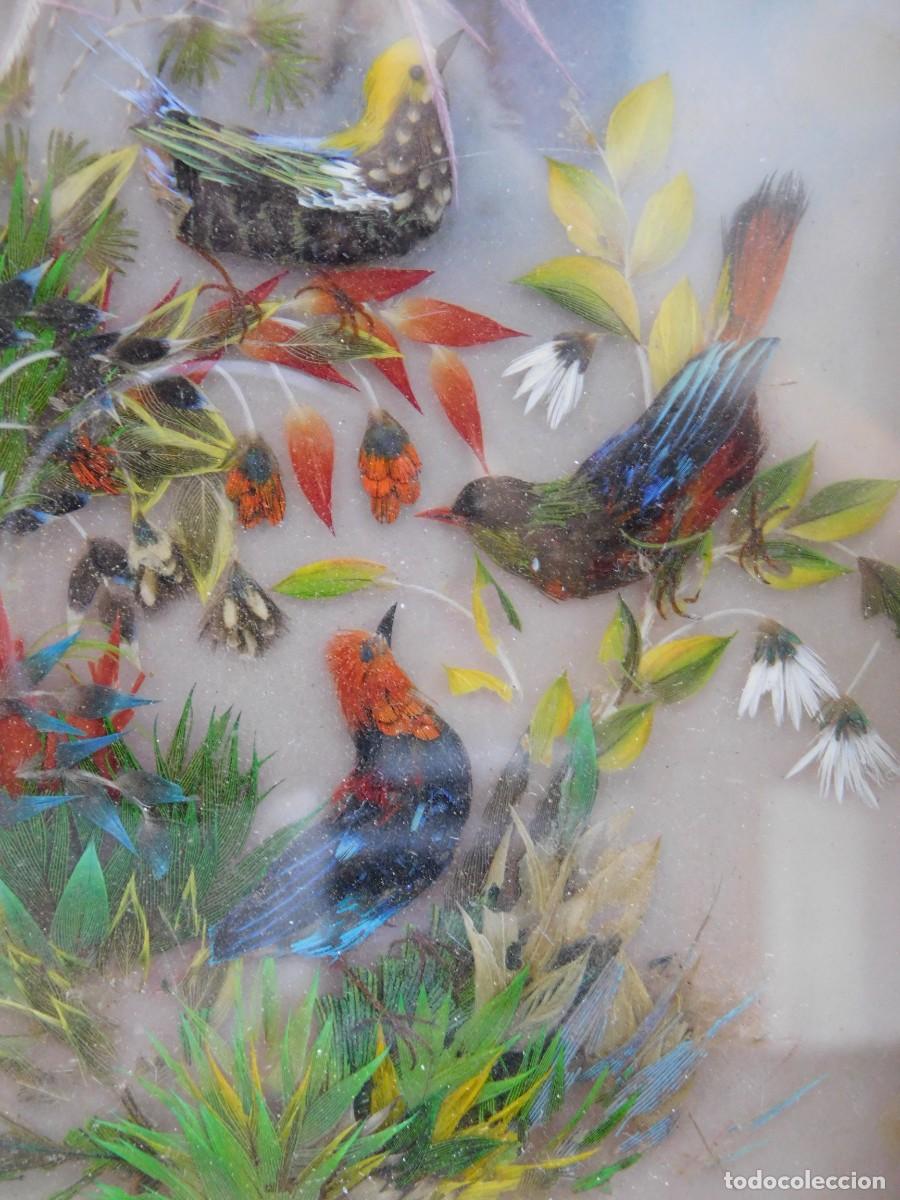 Antig&uuml;edades: CUADRO AVES - PLUMAS NATURALES - Foto 5