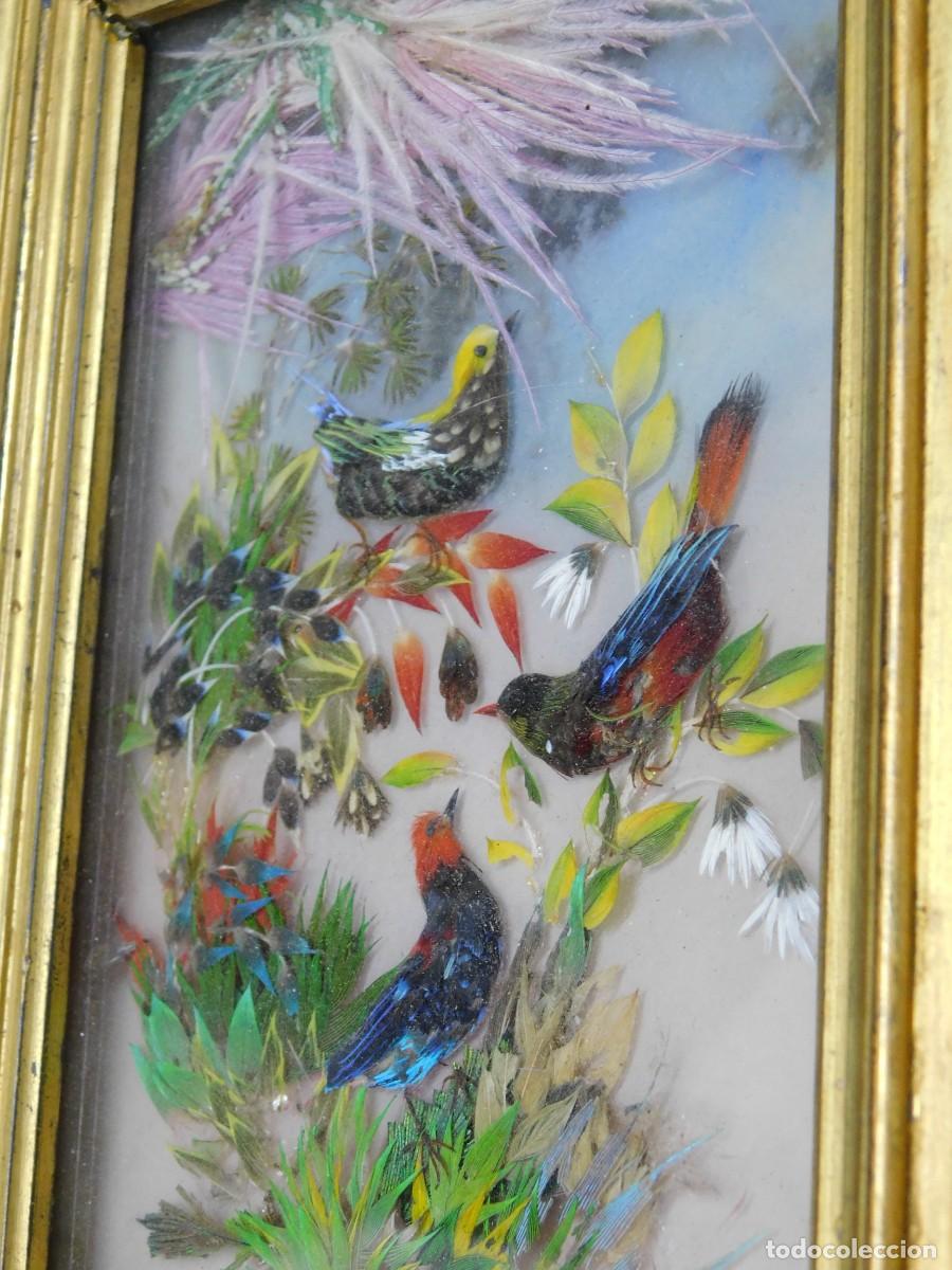 Antig&uuml;edades: CUADRO AVES - PLUMAS NATURALES - Foto 7