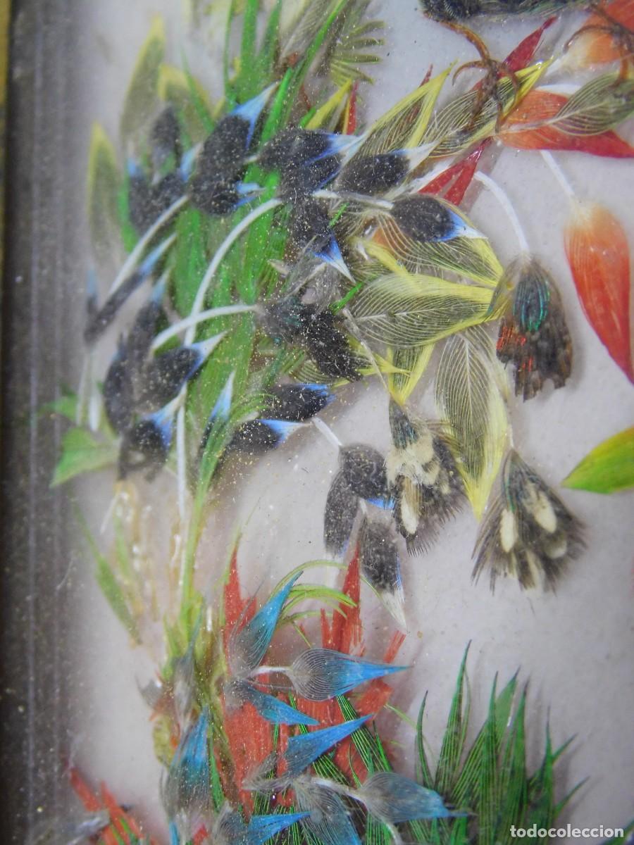 Antig&uuml;edades: CUADRO AVES - PLUMAS NATURALES - Foto 9