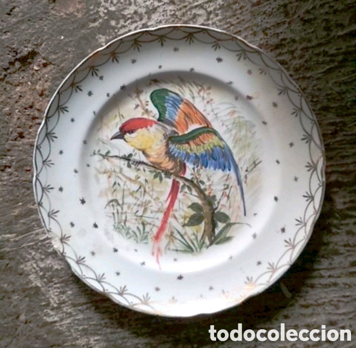 Antig&uuml;edades: Plato cer&aacute;mica - Foto 1