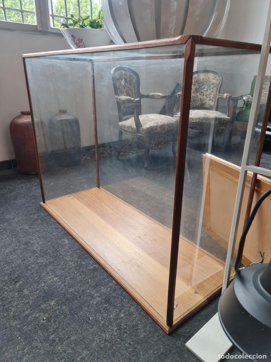 Antig&uuml;edades: Vitrina urna de madera y cristal - Foto 3