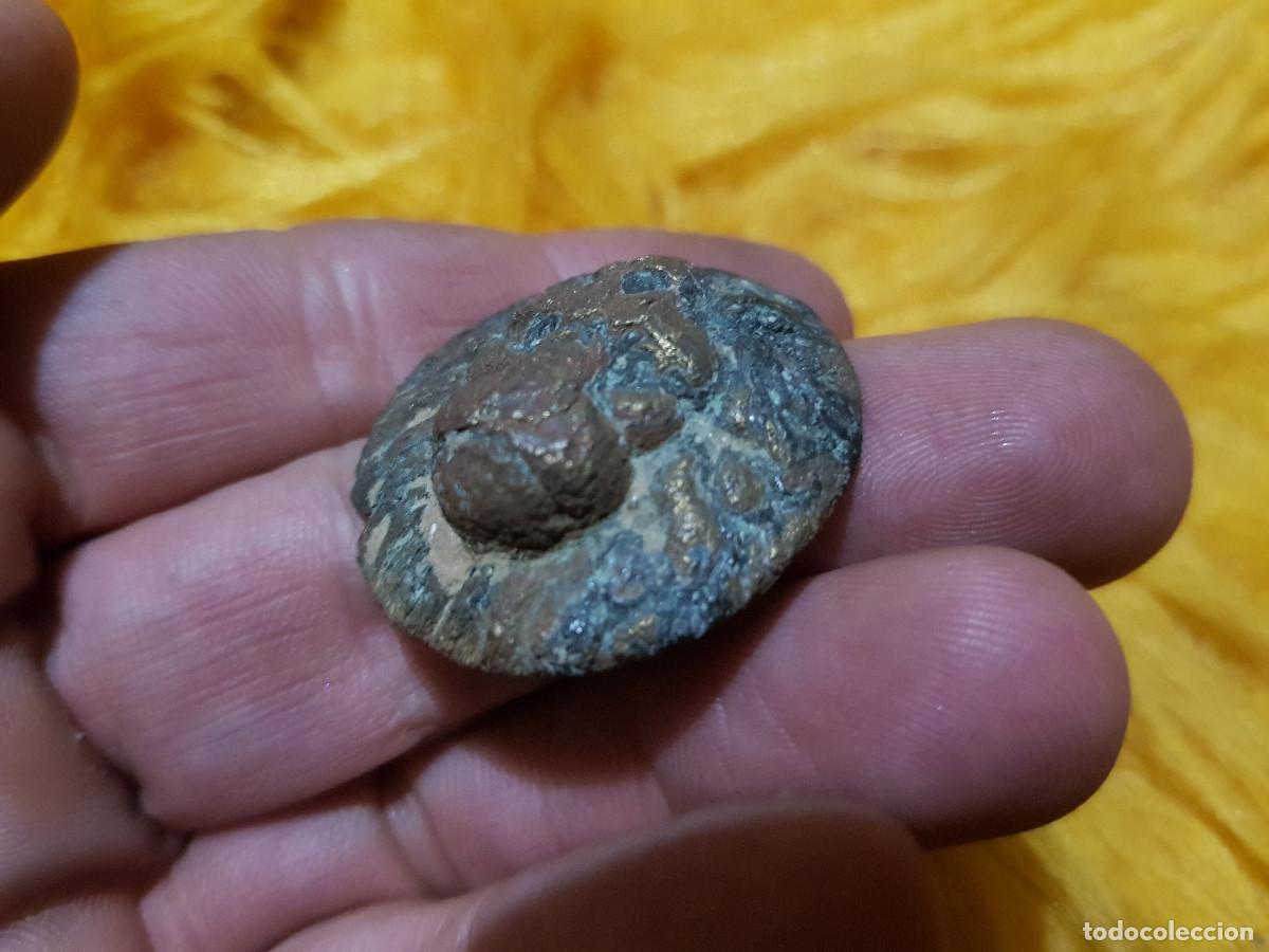 Antig&uuml;edades: Aplique Romano, Medieval? de Bronce cabeza de Leon - Foto 5