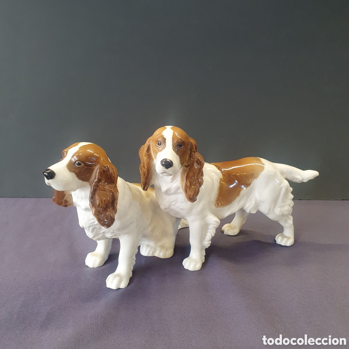 Antig&uuml;edades: COCKER SPANIEL HUTSCHENREUTER - Foto 11