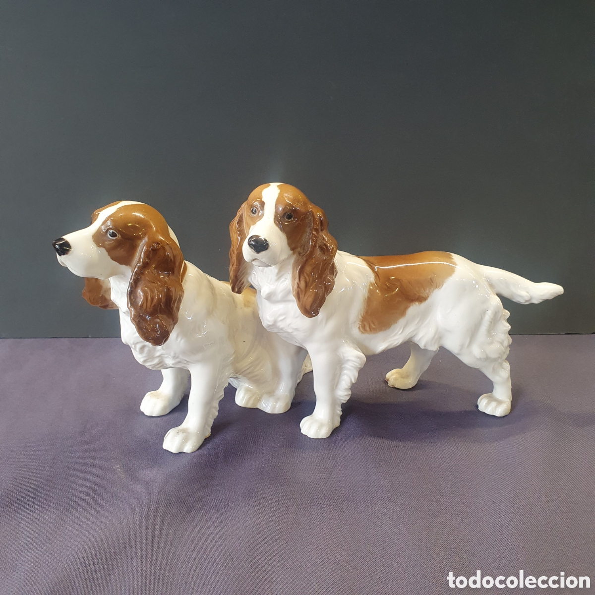 Antig&uuml;edades: COCKER SPANIEL HUTSCHENREUTER - Foto 1