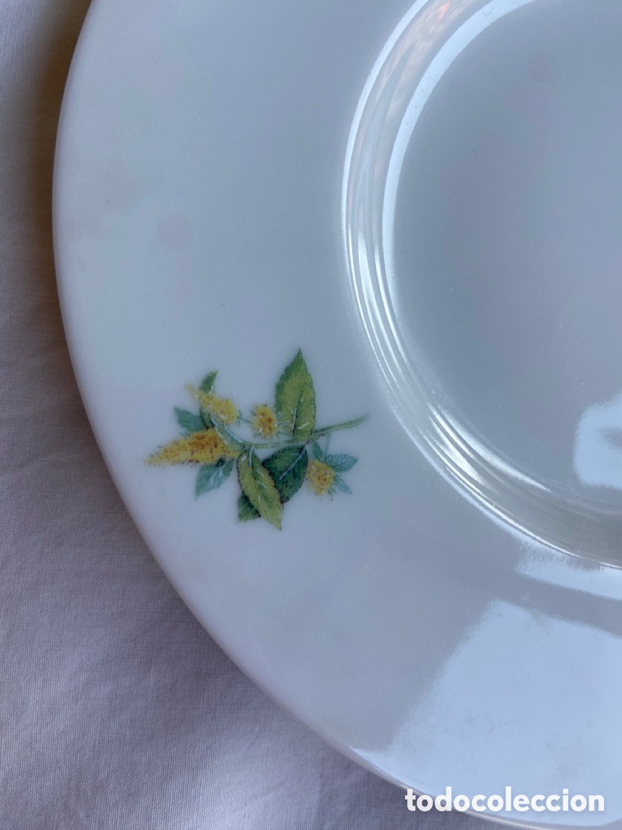 Antig&uuml;edades: Taza para infusi&oacute;n - Foto 3