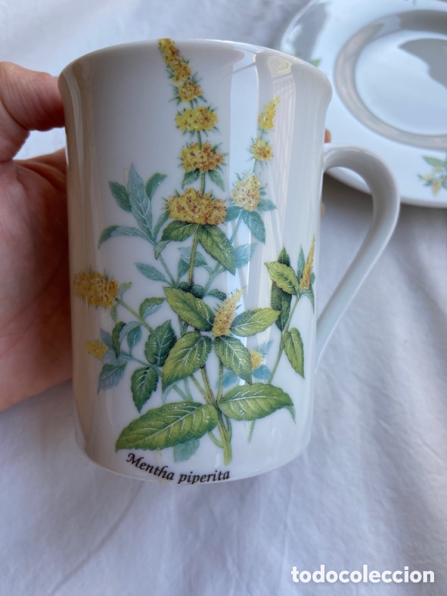 Antig&uuml;edades: Taza para infusi&oacute;n - Foto 5