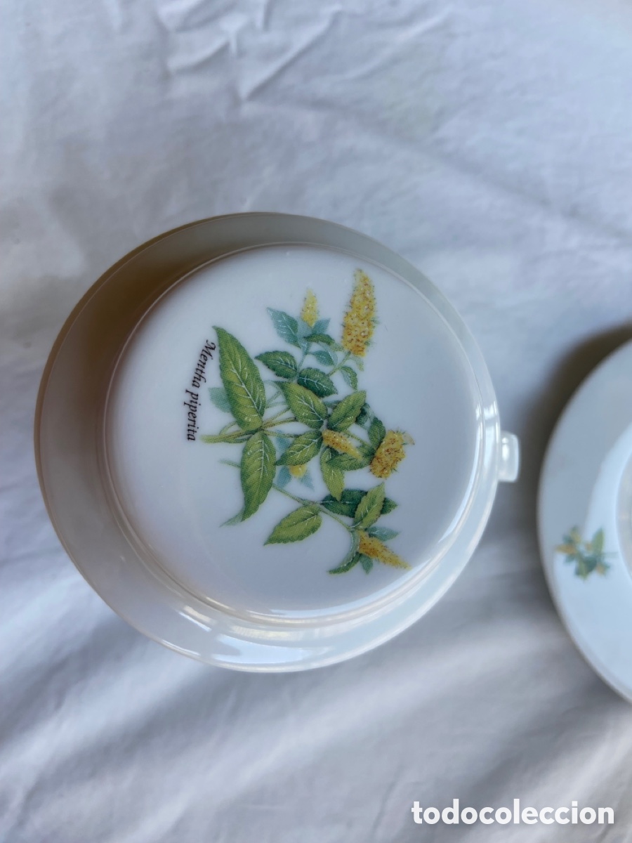 Antig&uuml;edades: Taza para infusi&oacute;n - Foto 8