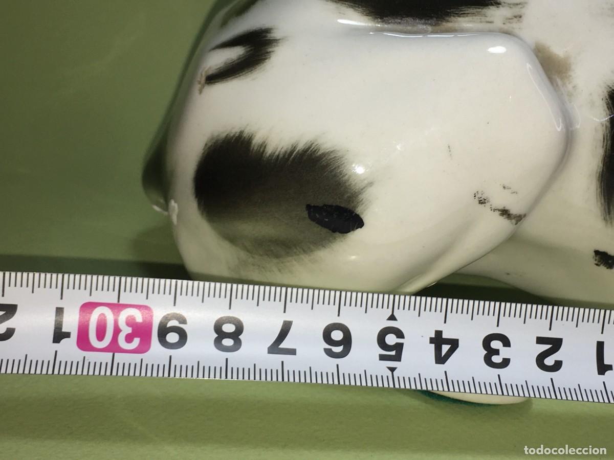 Antig&uuml;edades: PERRO DE PORCELANA - Foto 5