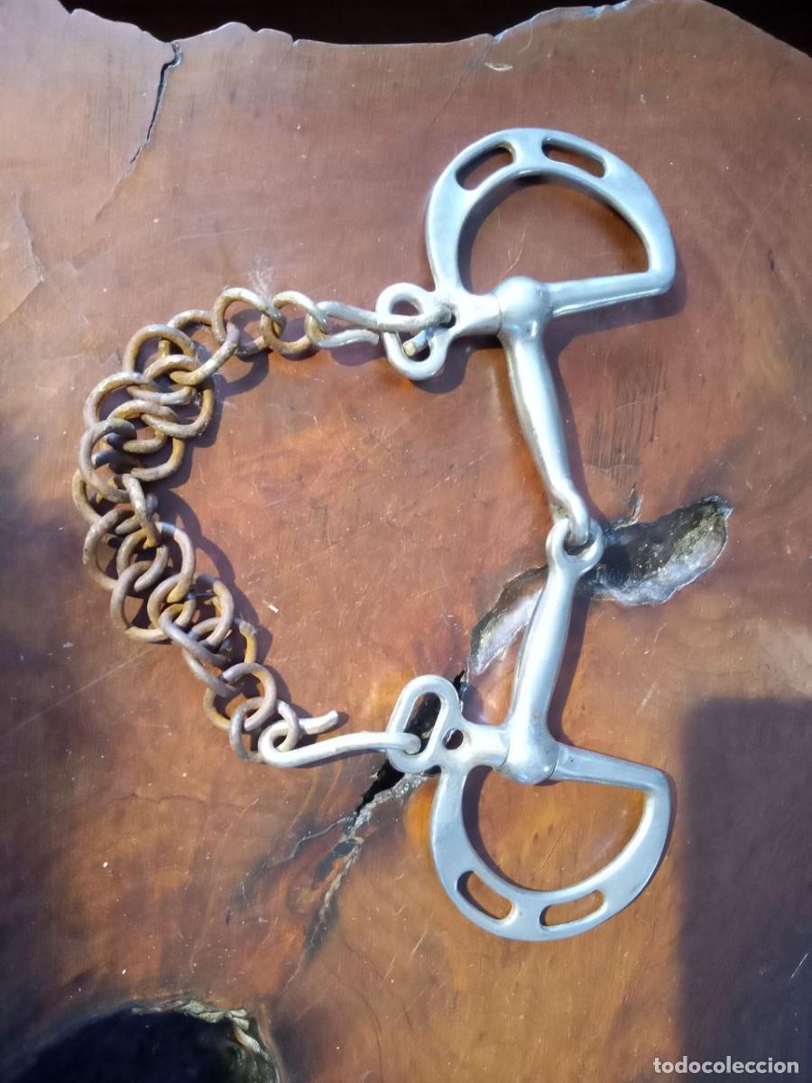 Antig&uuml;edades: BOCADO DE CABALLO - Foto 1