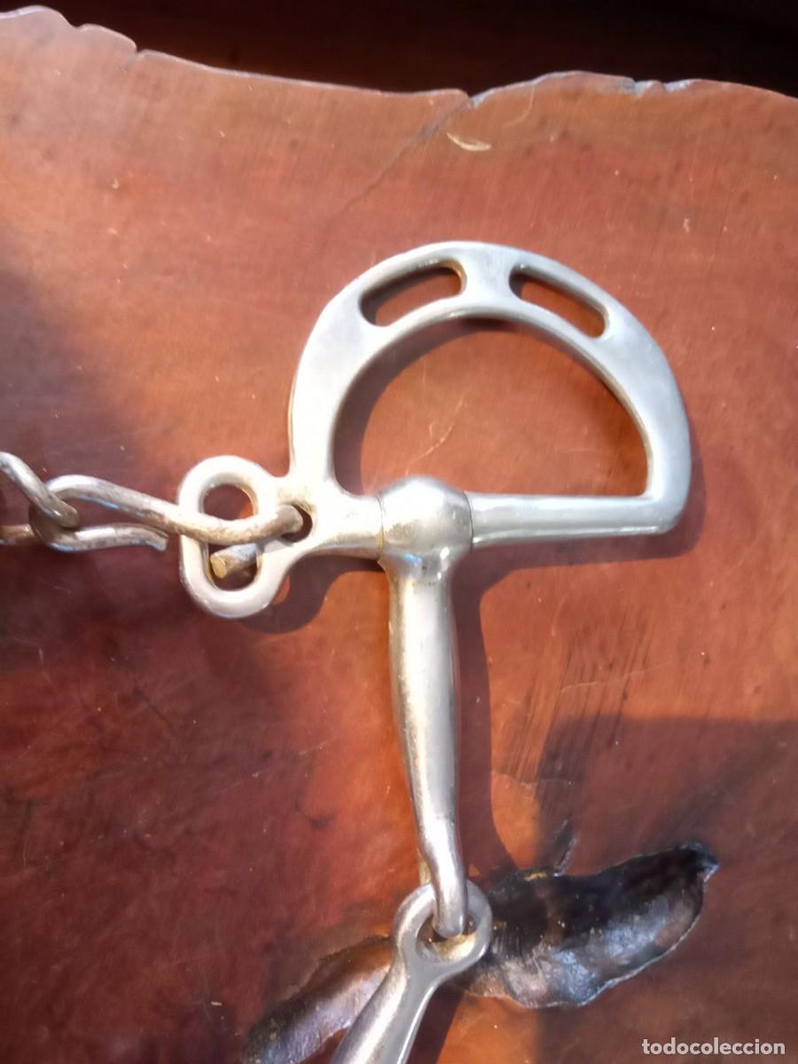 Antig&uuml;edades: BOCADO DE CABALLO - Foto 2