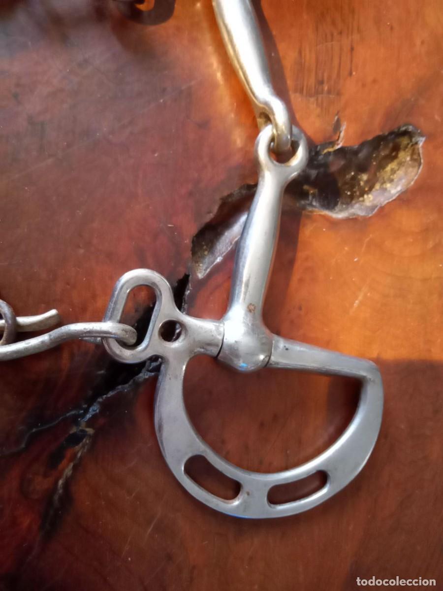 Antig&uuml;edades: BOCADO DE CABALLO - Foto 3