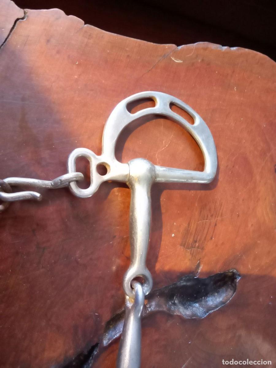 Antig&uuml;edades: BOCADO DE CABALLO - Foto 5