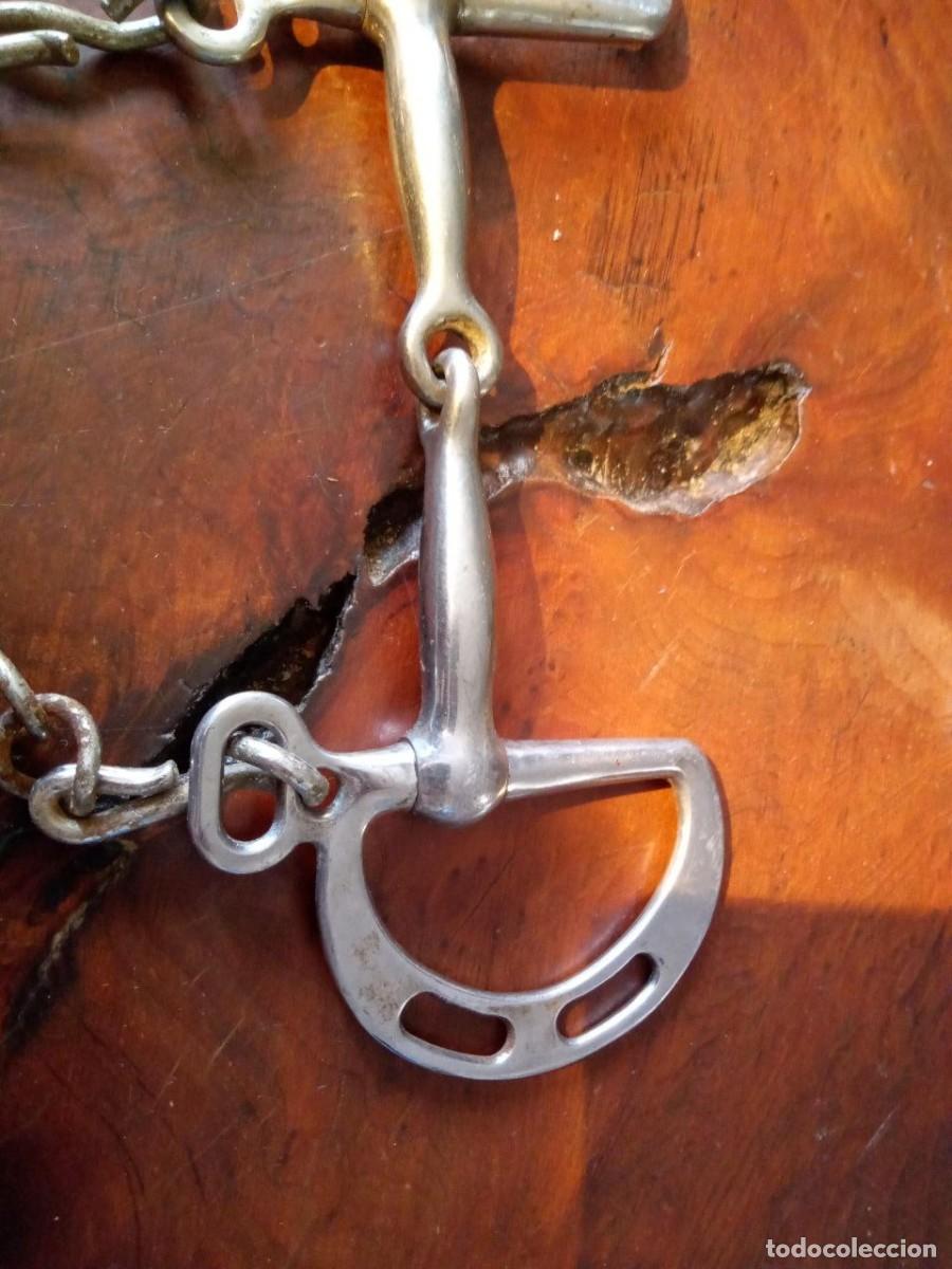 Antig&uuml;edades: BOCADO DE CABALLO - Foto 6
