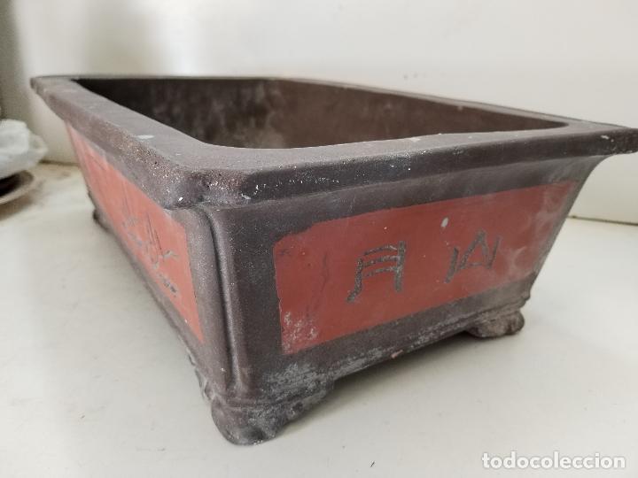 Antig&uuml;edades: maceta bonsai rectangular - Foto 2