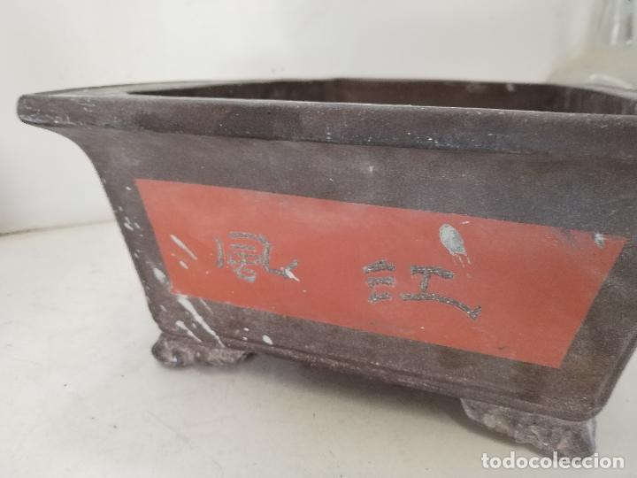 Antig&uuml;edades: maceta bonsai rectangular - Foto 5