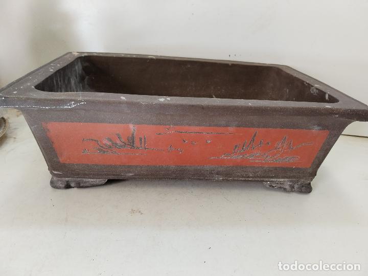 Antig&uuml;edades: maceta bonsai rectangular - Foto 1