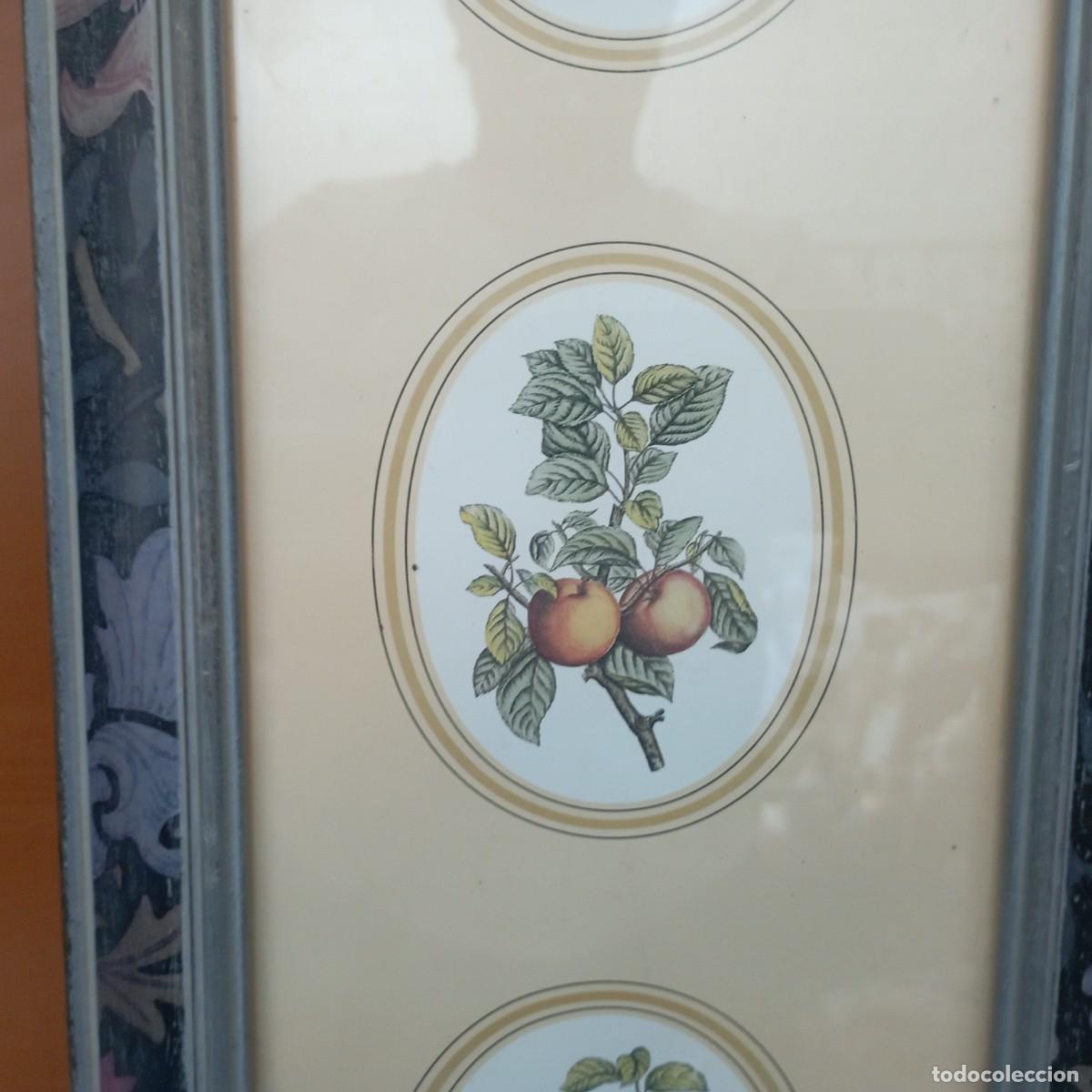 Antig&uuml;edades: cuadro decorativo - Foto 2