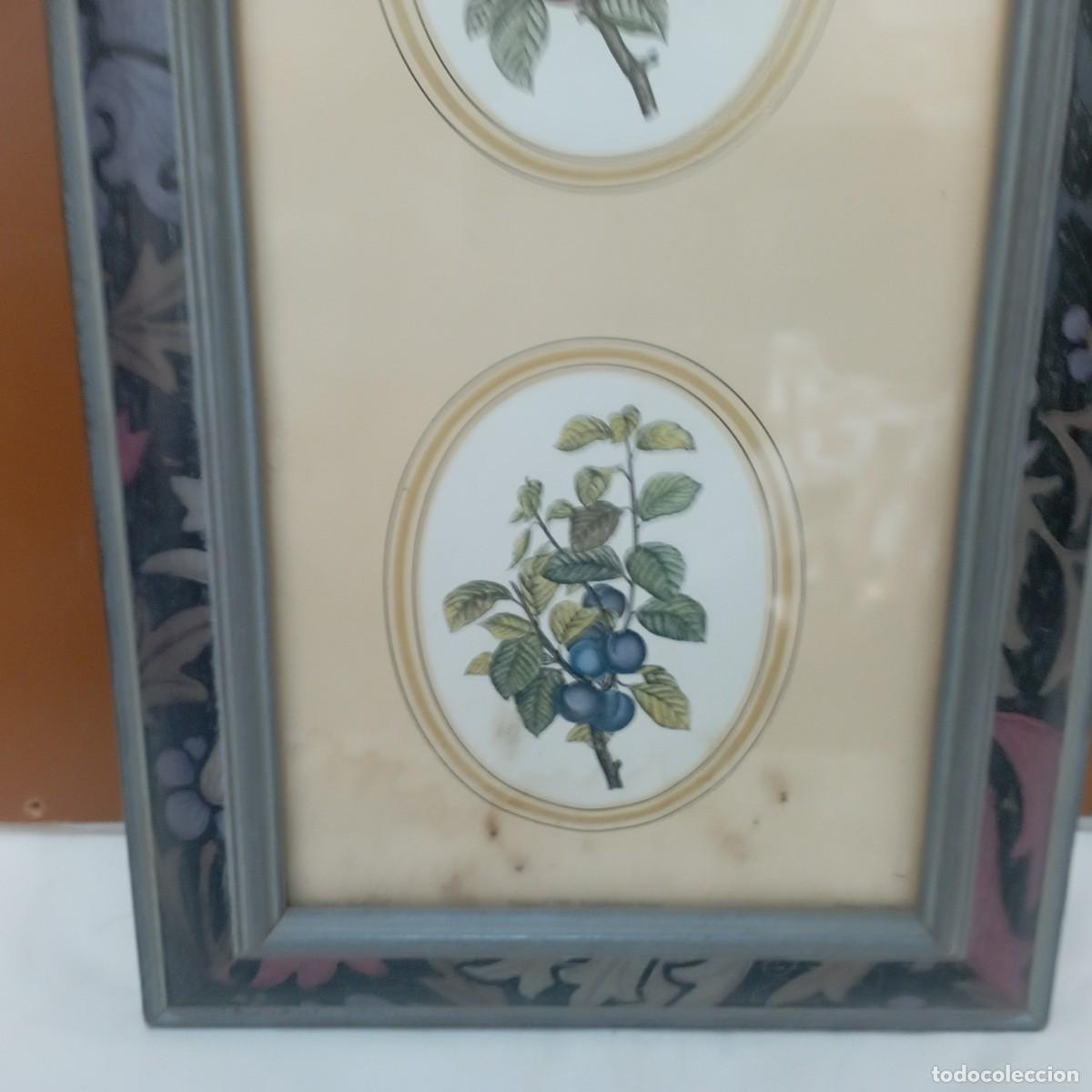 Antig&uuml;edades: cuadro decorativo - Foto 3