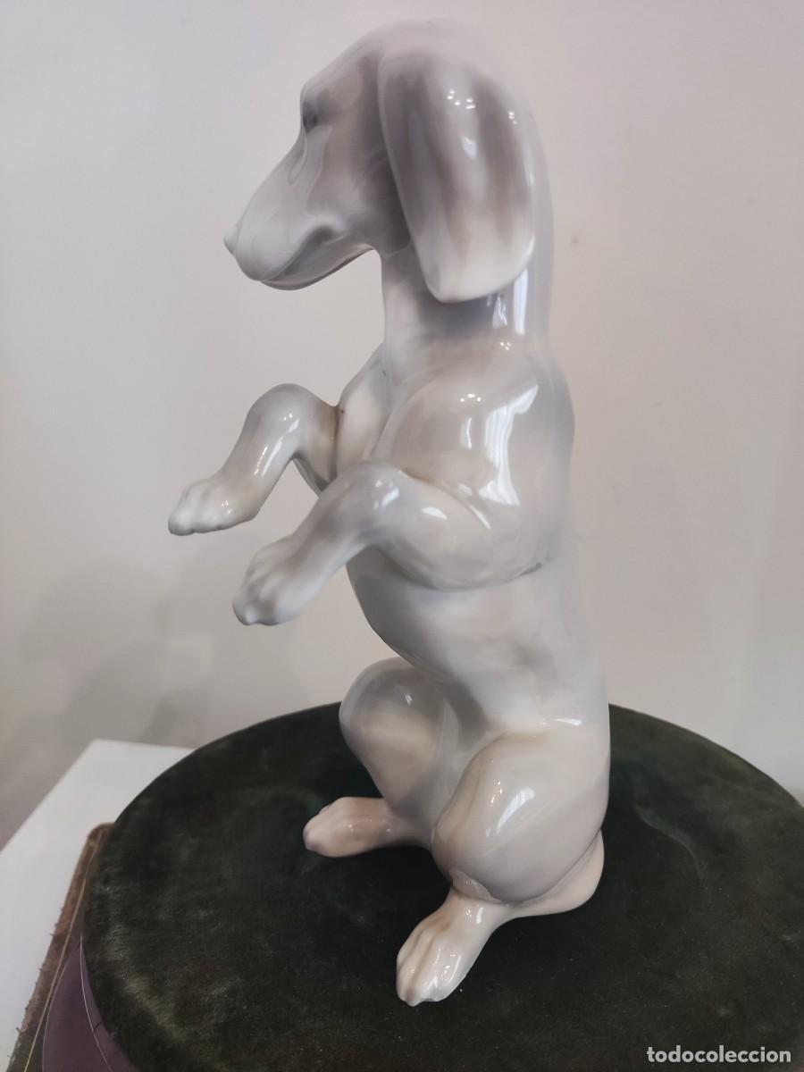 Antig&uuml;edades: PERRO PORCELANA ESPA&Ntilde;OLA - Foto 4