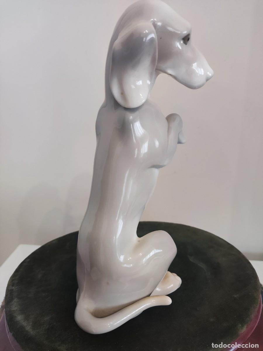 Antig&uuml;edades: PERRO PORCELANA ESPA&Ntilde;OLA - Foto 6
