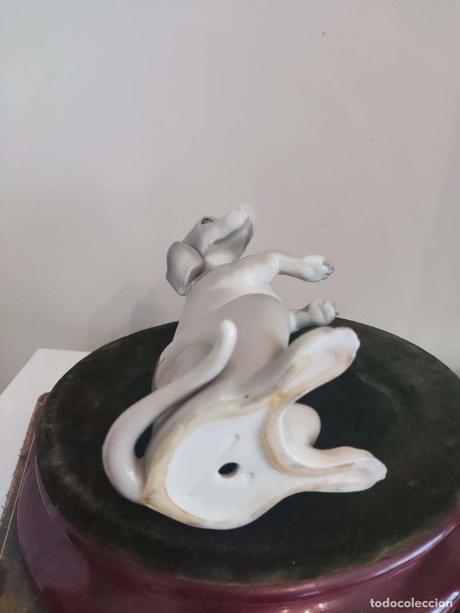 Antig&uuml;edades: PERRO PORCELANA ESPA&Ntilde;OLA - Foto 7