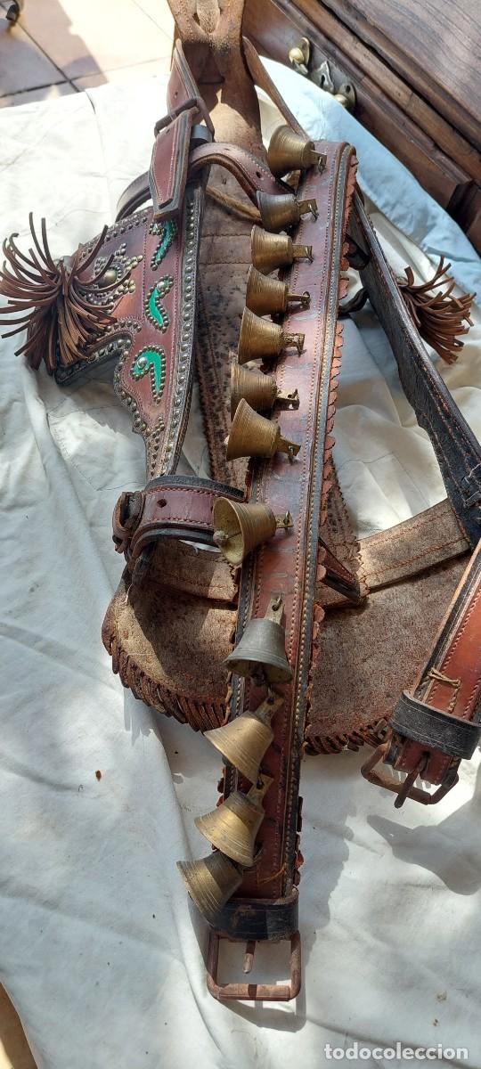 Antig&uuml;edades: Cabezada para mulilla De cuero repujado y claveteado - Foto 5