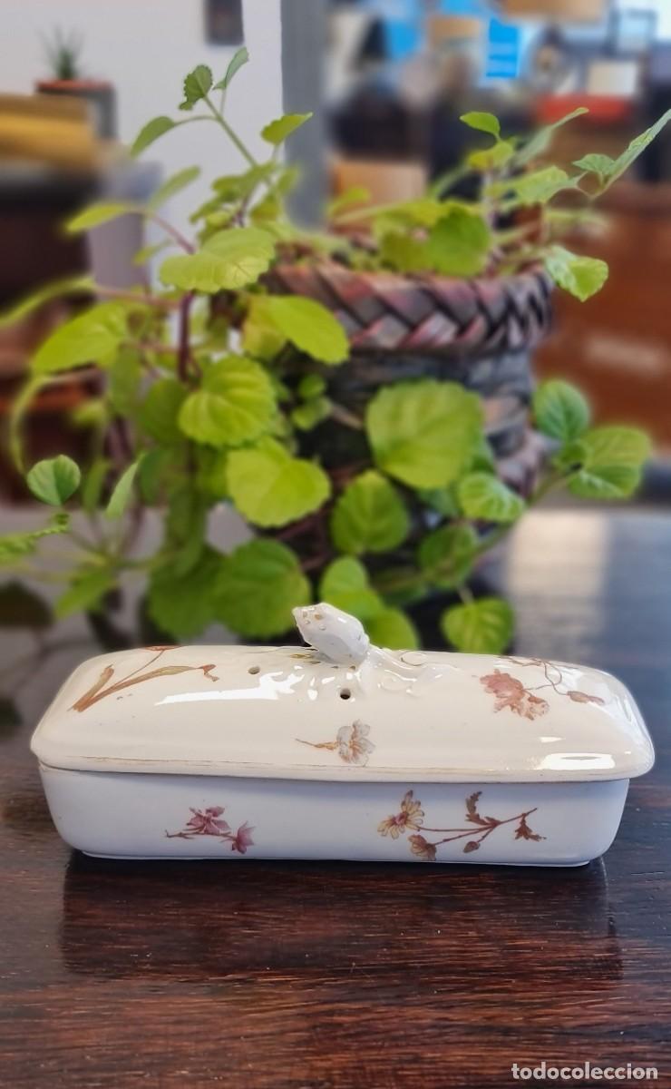 Antig&uuml;edades: Caja de peines o de cepillos de dientes - Foto 2