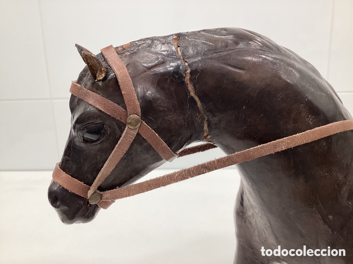 Antig&uuml;edades: Caballo de piel natural. - Foto 9