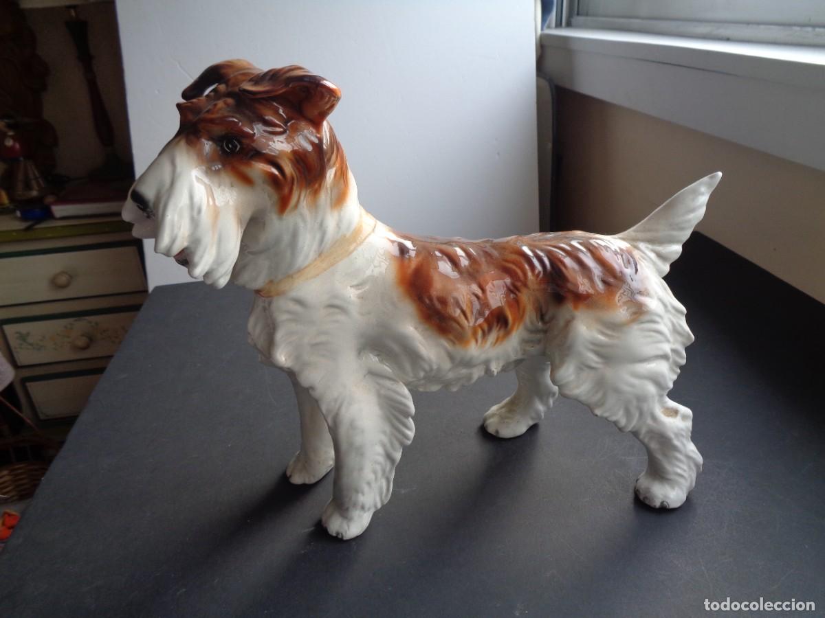 Antig&uuml;edades: PERRO DE POPRCELANA - Foto 1