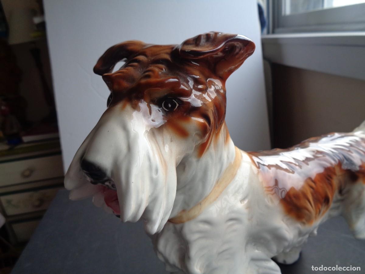 Antig&uuml;edades: PERRO DE POPRCELANA - Foto 4