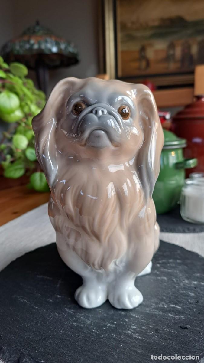 Antig&uuml;edades: PERRO Perrito PEKINES Sentado LLADRO - Foto 1